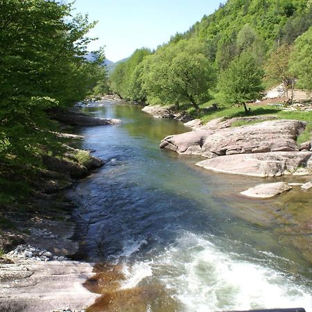 Семеен Хотел Федора Ribarica Esterno foto